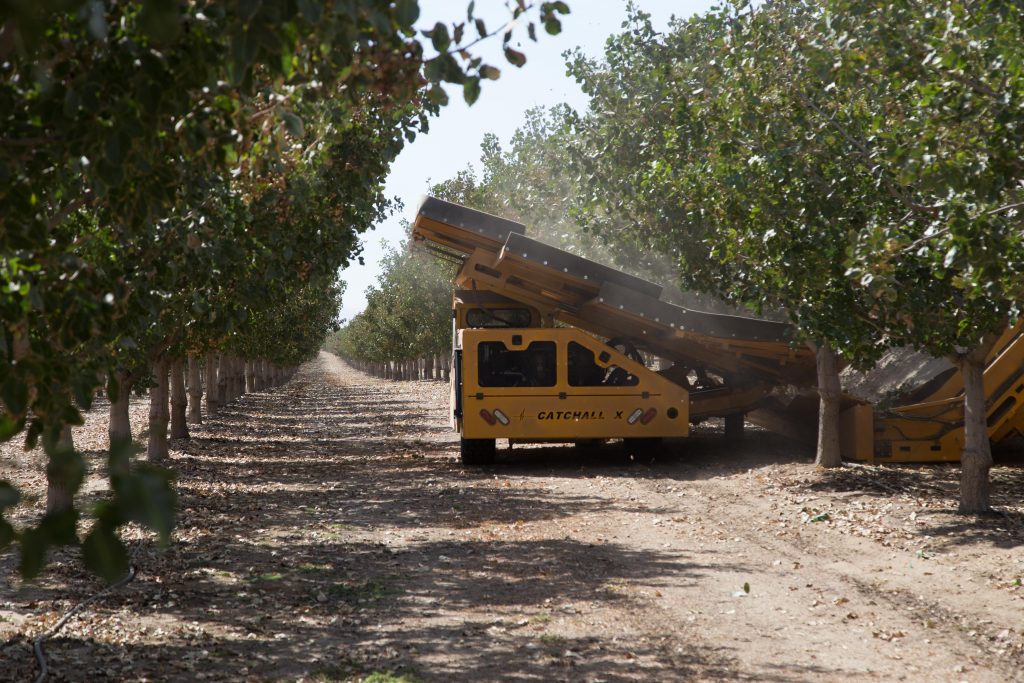 Catchall-X-Pistachios