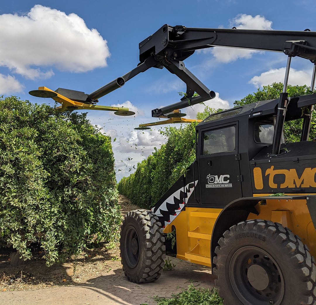 Hedger-BL-view-cutting