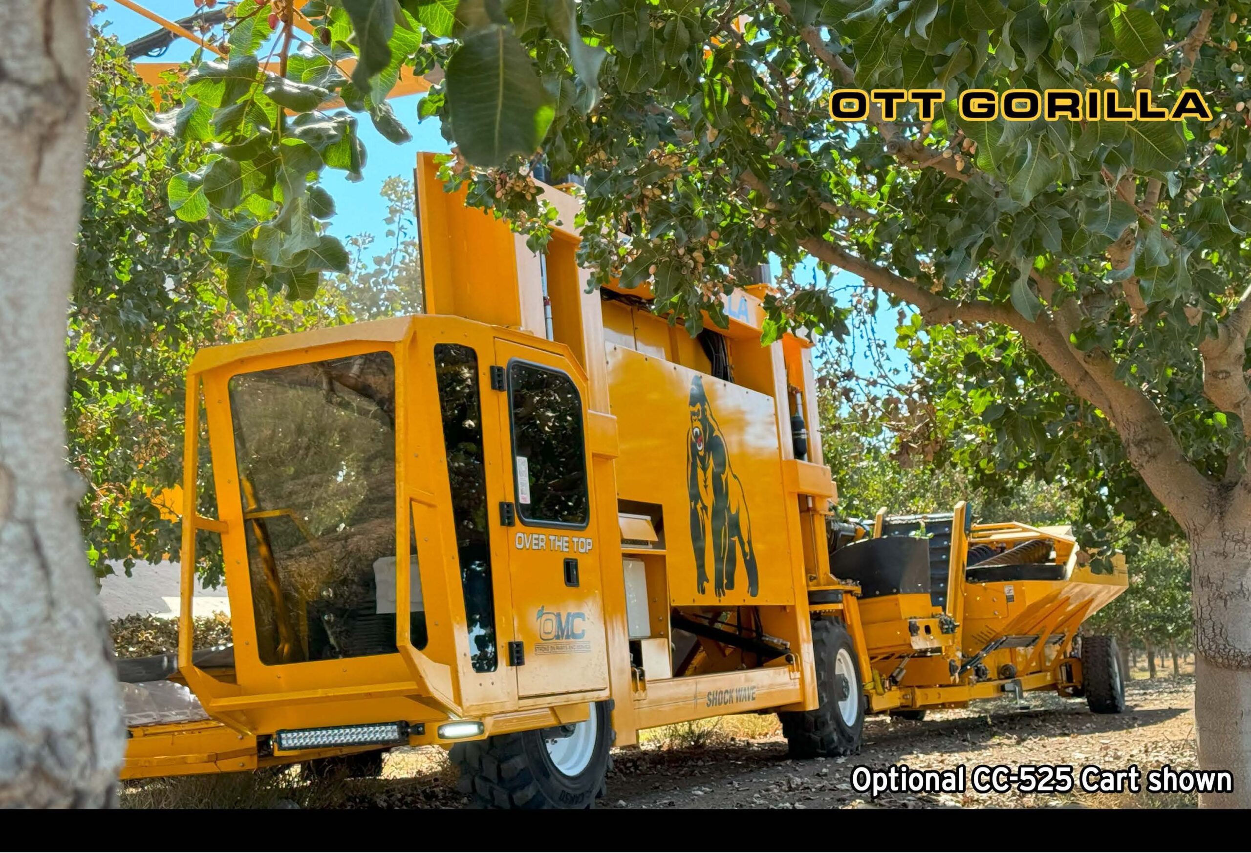 OTT Gorilla PDF Brochure_Page_2_Image_0002